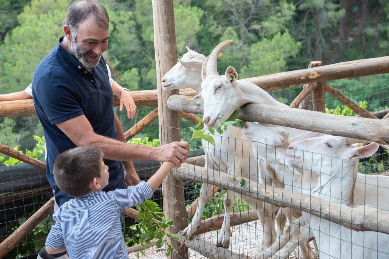 Il Giardino Dorato Βίλα Maiori Εξωτερικό φωτογραφία